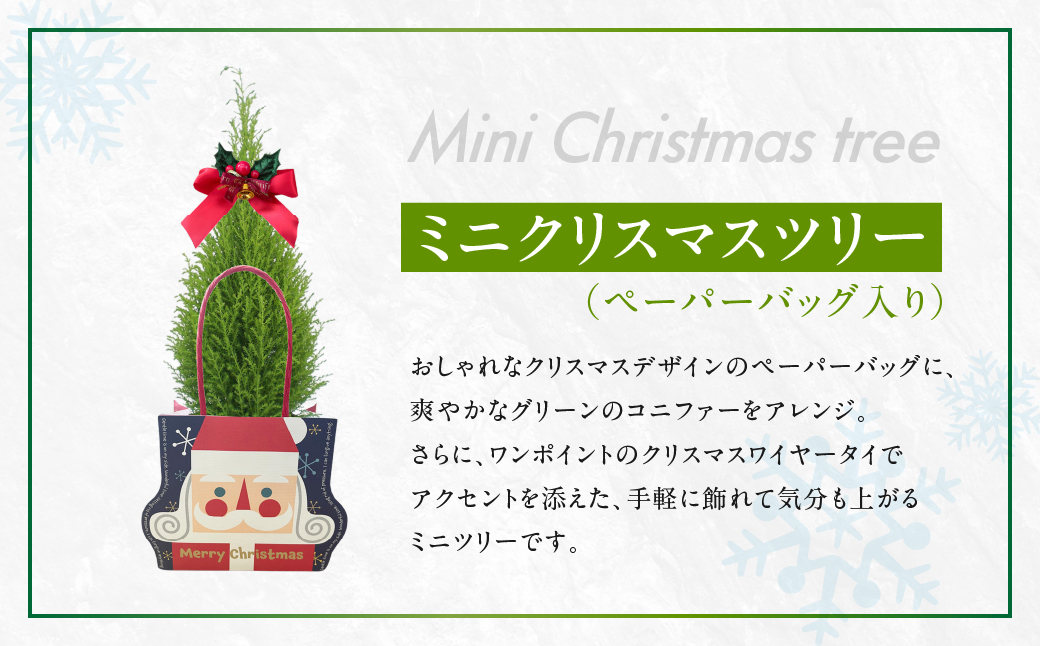 ミニクリスマスツリー 観葉植物 植物 3号鉢 ツリー 人気 おしゃれ かわいい お手入れ 室内 大鉢 中型 インテリア リビング 玄関 寝室 キッチン オフィス プレゼント ギフト 冬 クリスマス フラワーギフト