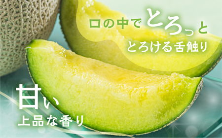 【定期便】先行予約 マスクメロン 4回  伊良湖産 2玉 2026年6月スタート  箱詰め メロン フルーツ 果物 お中元 お取り寄せ ギフト 渥美半島 田原市  マルカ農園 産地直送 送料無料 48000円