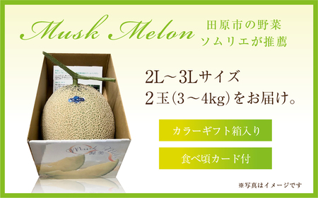幻の青うなぎ＆マスクメロンセット 食感・風味全てに自信のある最高のうなぎ | 鰻 ウナギ ふっくら うなぎ ブランド 旬 フルーツ メロン アールスメロン