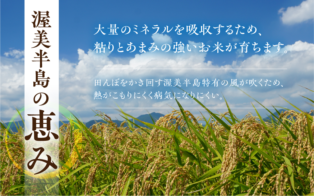 【先行予約】五縁米5 kg　定期便6回　こしひかり お米 ごはん コシヒカリ 白米 5キロ 産地直送 愛知県 田原市