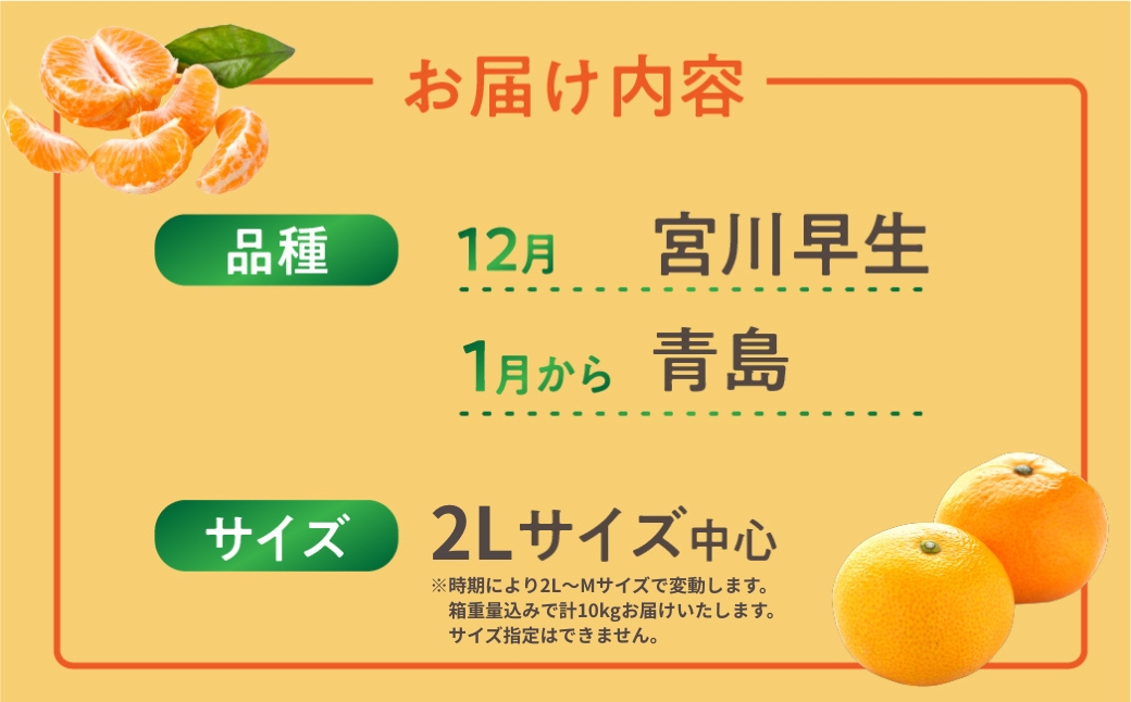 渥美半島の伊良湖みかん 10kg（ 箱重量を含む ）訳あり　 みかん ミカン 蜜柑 送料無料 フルーツ 果物 大容量 渥美半島 甘い 濃厚 コク ジューシー 産地直送 田原市