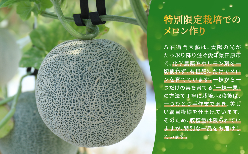 特別限定栽培 八右衛門アールスメロン 大玉2kg 2玉 （マスクメロン） 先行予約 メロン めろん 箱詰め フルーツ 果物 愛知県 田原市 6月 7月