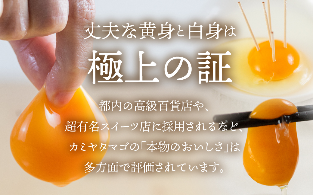 【12回お届け定期便】コク旨 極上卵 30個 割れ保証付き 定期便 （ たまご 卵 毎月 12回 定期便 12ヶ月 12ヵ月 12か月 1年 ）たまご定期便 卵定期便 1年定期便