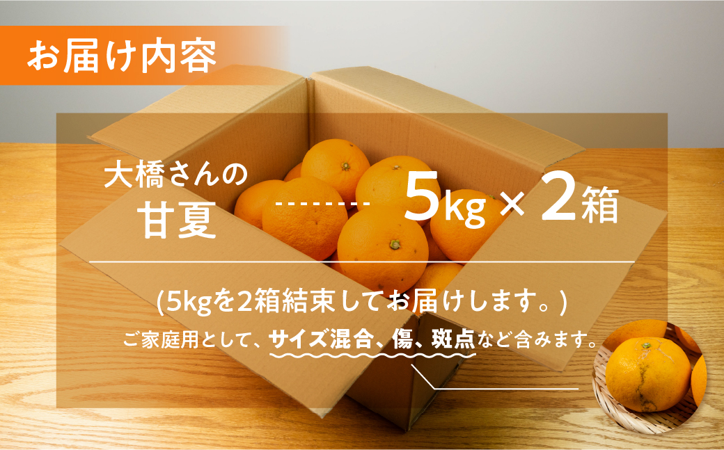 大橋農園の ご家庭用 甘夏 10kg 甘夏 あまなつ 柑橘 柑橘類 フルーツ 果物 旬 訳あり ワケアリ 訳アリ 愛知県 田原市 渥美半島