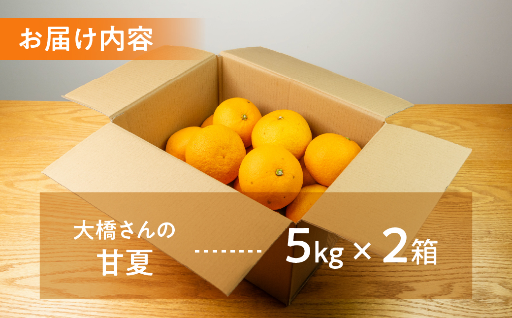 大橋農園の 甘夏 10kg 甘夏 あまなつ 柑橘 柑橘類 フルーツ 果物 旬 マーマレード マーマレードジャム ゼリー に 愛知県 田原市 渥美半島