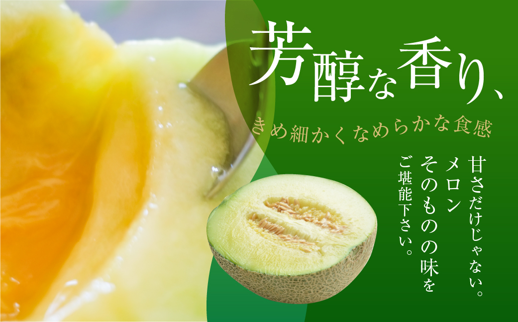 先行予約 訳あり マスクメロン L～2L 2玉 メロン 野菜ソムリエ推薦 数量限定 渥美半島 伊良湖潮風育ち 田原市 ご自宅用 お取り寄せ 産地直送 送料無料 12000円