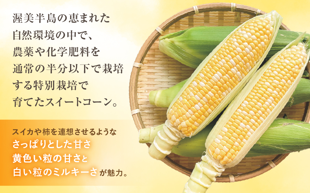 渥美半島産　寺田さんちのとうもろこし　バイカラー 10本～12本 約4kg とうもろこし デザート 農家直送 送料無料 朝採れ コーン 野菜 キャンプ BBQ バーベキュー おやつ 田原市 渥美半島 愛知県 夏 旬