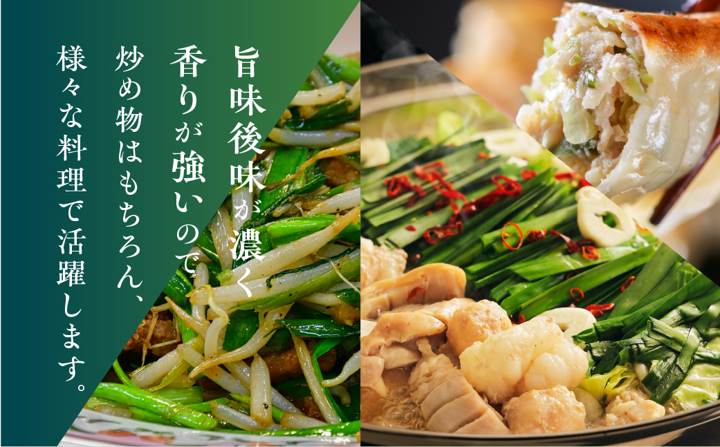 横地愛菜園の 香りニラ 100g小分け袋 ニラ 小分け 国産 100g 餃子 もつ鍋 野菜炒め に 野菜 旬 料理 葉物野菜 にら 愛知県 田原市 渥美半島