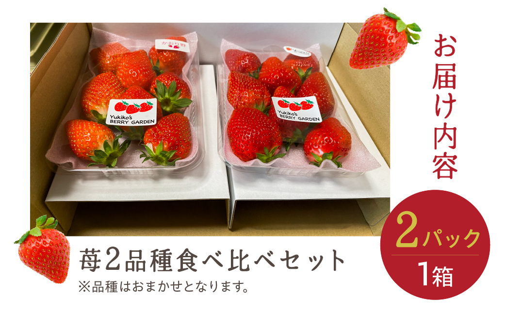 【先行予約】安心安全！職人が作るおまかせ苺 2種 食べ比べセット いちご 苺 おまかせ のため 訳あり 食べ比べ セット 安心 安全 国産 愛知県 田原市 渥美半島