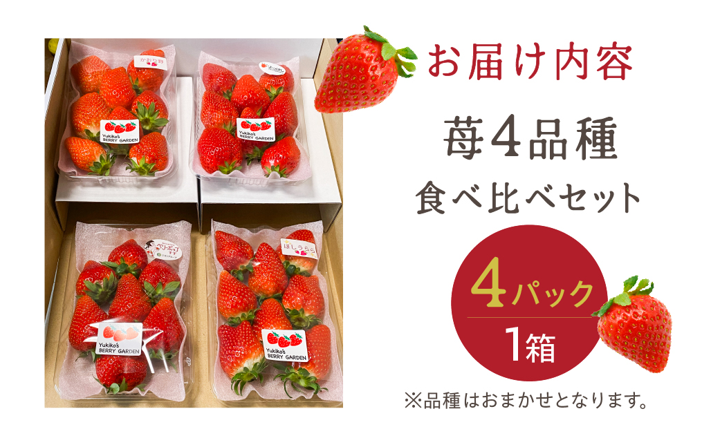 【先行予約】安心安全！職人が作るおまかせ苺 4種 食べ比べセット いちご 苺 おまかせ のため 訳あり 食べ比べ セット 安心 安全 国産 愛知県 田原市 渥美半島