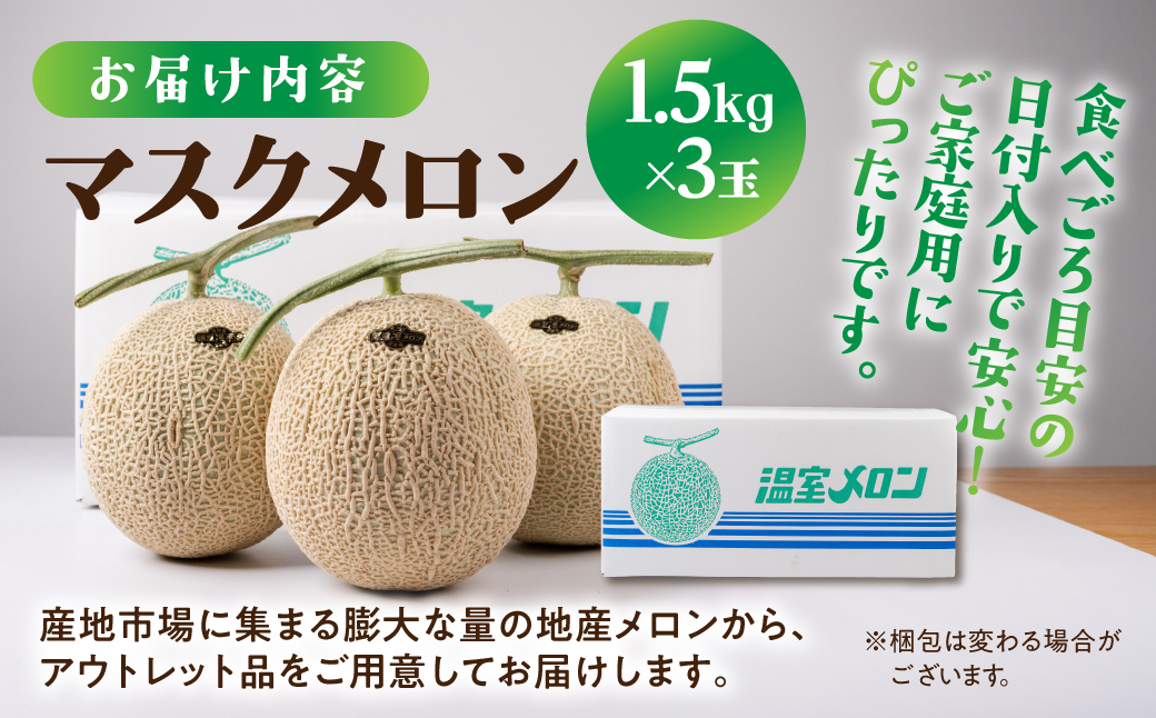 【先行予約】訳あり マスクメロン 3玉 メロン めろん マスクメロン フルーツ 果物 愛知県 田原市 渥美半島 お取り寄せ スイーツ ギフト 贈り物 プレゼント 贈答 贈答用 ニュー渥美 観光 1玉 2玉 3玉 訳あり わけあり ワケアリ 訳アリ