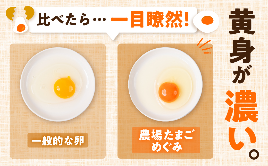 農場たまご めぐみ 30個 定期便12回　割れ保証付き 卵 たまご 鶏卵 30 赤玉 新鮮 毎月お届け 12回 12か月 1年 一年間 イラコファーム 愛知県 田原市