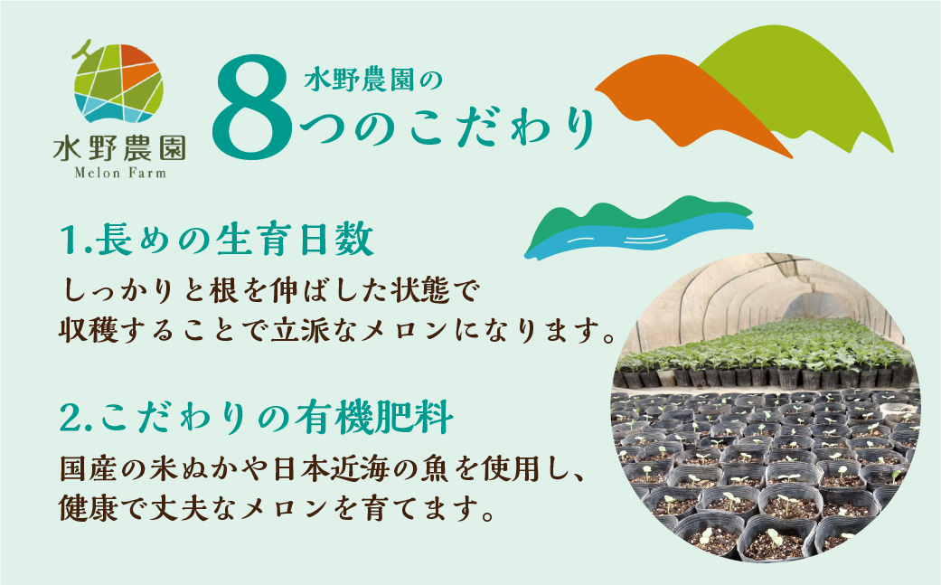 【先行予約】2026年7月お届け タカミメロン 2玉 水野農園 　6月中下旬から7月順次発送 メロン めろん 先行受付 フルーツ 果物 お中元 お取り寄せ ギフト 渥美半島 田原市 産地直送 送料無料 9000円