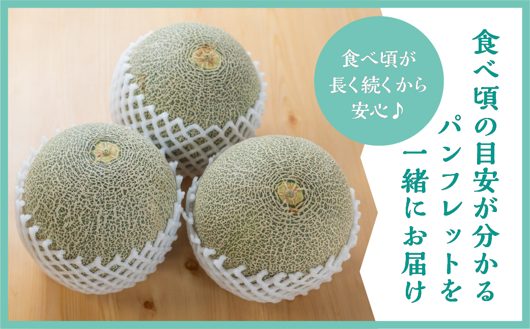 【先行予約】2026年7月お届け 水野農園産タカミメロン　大玉１玉 メロン めろん 先行受付 フルーツ 果物 お中元 お取り寄せ ギフト 渥美半島 田原市 産地直送 送料無料 農家直送 緑肉 産直 ネット系メロン くだもの デザート メロン 糖度 メロン 青肉メロン