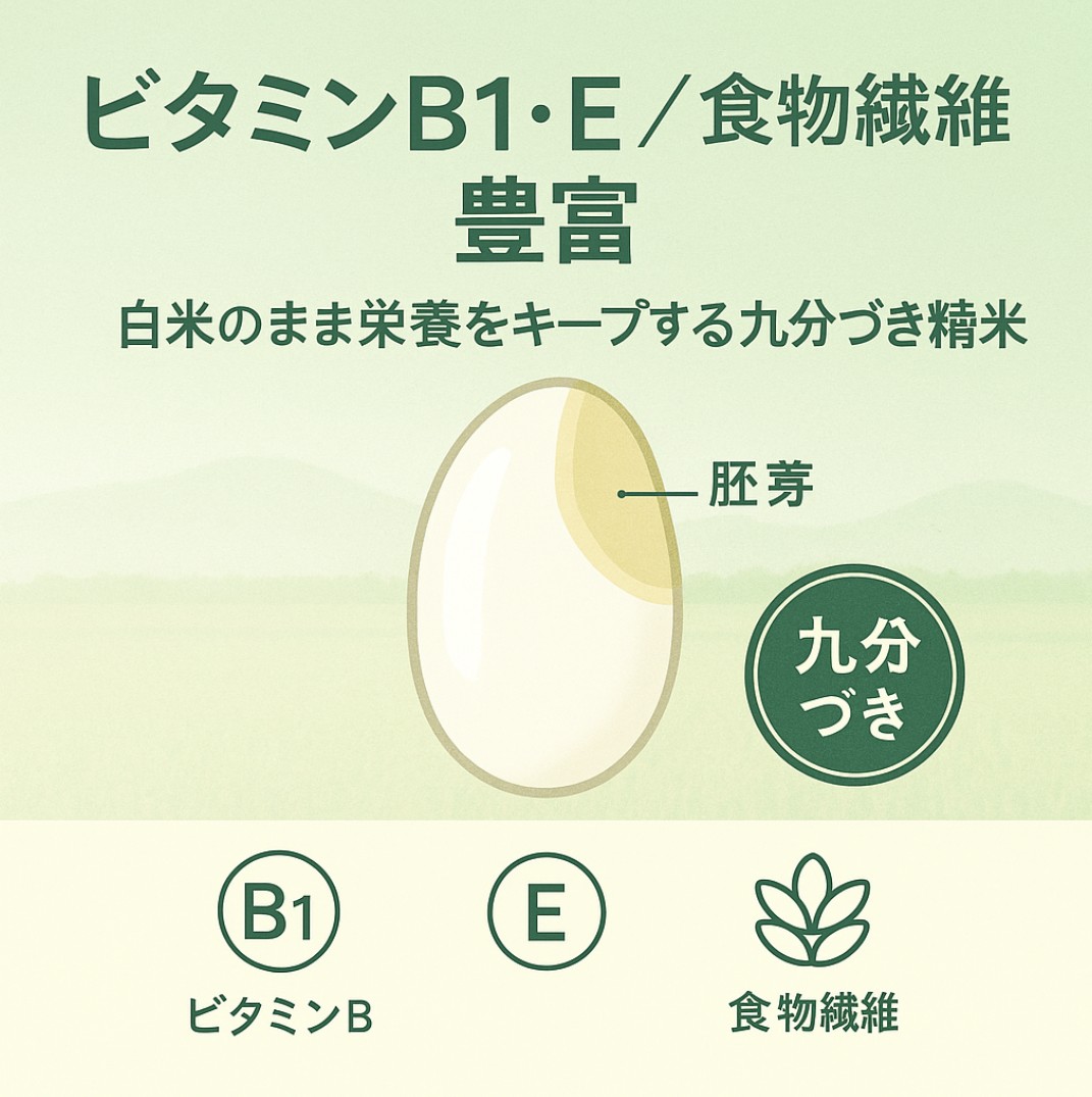 【先行予約】新米 5kg たはらの お米 おこめ 米 コメ ごはん ご飯 おかず 白飯 白ごはん お弁当 精米 お取り寄せ 災害 備え 愛知県 田原市 人気