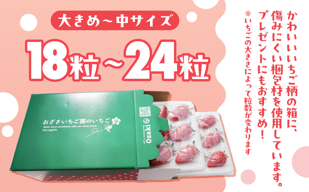 完熟いちご 18粒～24粒 いちご柄BOX いちご イチゴ 苺 章姫 大粒 ストロベリー ベリー ジャム いちごジャム イチゴジャム いちご狩り いちご園 おざきいちご園 渥美半島 愛知県 田原市