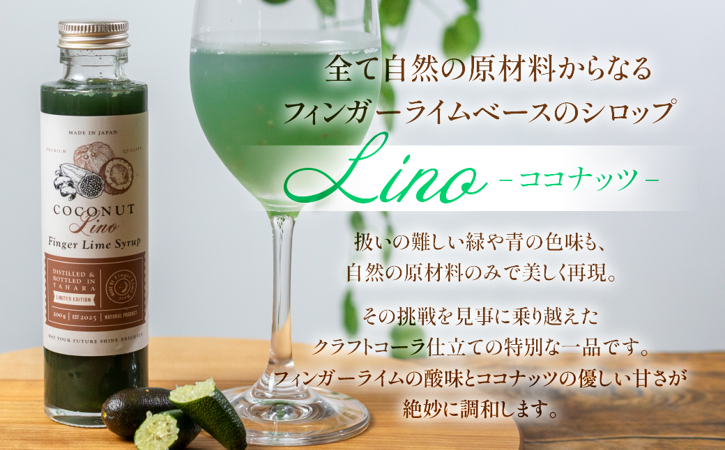 フィンガーライムシロップ Lino ココナッツ フィンガーライム付きセット FINGER LIME JAPAN公認 キャビアライム ライム フルーツキャビア 森のキャビア 柑橘 柑橘系 愛知県 田原市 渥美半島 国産