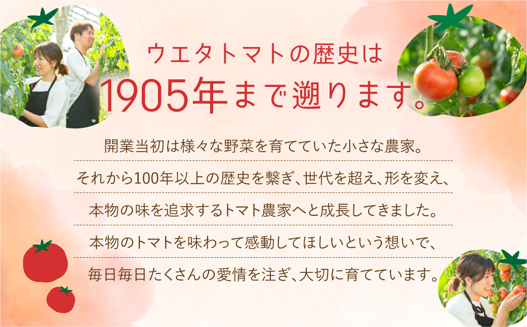 《先行予約》 濃厚！ウエタトマトのトマト 2kg ／ とまと 冬トマト 野菜 厳選 愛知県 産地直送 田原市 渥美半島