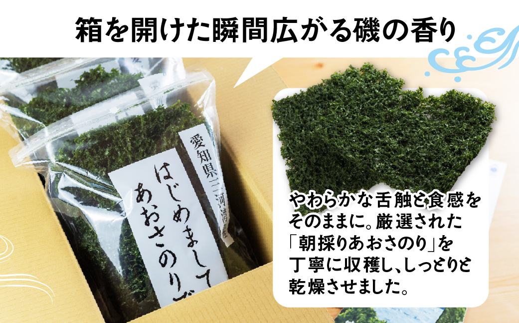 訳あり あおさ 100g 簡易包装 愛知県 三河湾産 「はじめまして あおさのり です。」あおさ海苔 海苔 味噌汁 みそ汁 具 海藻類 アオサ 訳アリ 大容量 送料無料 国産 食品 田原市 5000円 人気