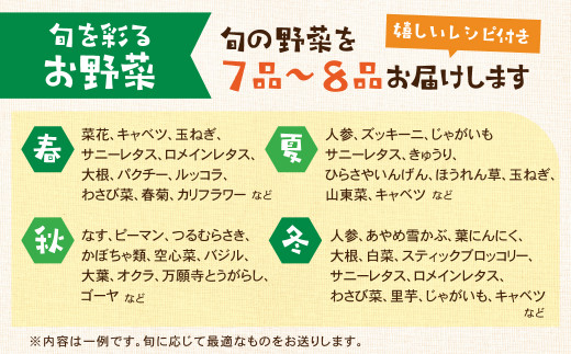 【渥美半島より新鮮野菜をお届けします】 旬彩野菜バスケット 約3kg ／ 季節野菜 採れたて 露地栽培 旬 愛知県 特産品 産地直送 田原市 渥美半島