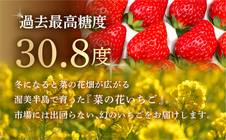先行予約 菜の花いちご6～8粒入 4パック 大粒 2026年1月～発送開始 イチゴ いちご 苺 果物 くだもの フルーツ 贅沢品 贈答品 高級品 ブランド 先行予約 お取り寄せ 田原市 産地直送 送料無料 事前予約 品種お任せ あきひめ 紅ほっぺ さがほのか