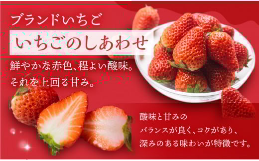 【愛知県・田原産】ブランドいちご「いちごのしあわせ」約9粒～15粒 ／ 苺 イチゴ フルーツ 果物 農薬節減 愛知県 特産品 産地直送 田原市 渥美半島