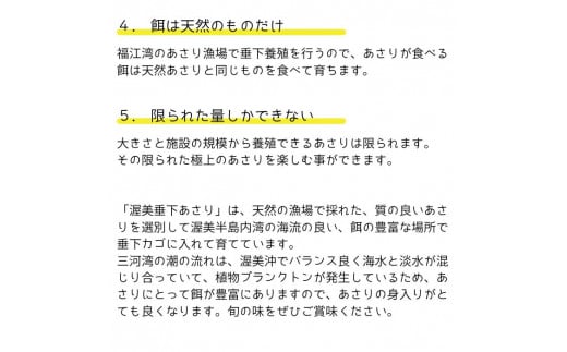 《先行予約》渥美 垂下 あさり かごいり娘 1.2kg