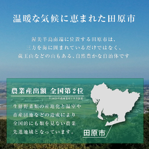 田原牛 牛肩ロース 800g すき焼き しゃぶしゃぶ 牛肉 ビーフ 肩ロース お取り寄せ 牛 特産 ご当地 グルメ おうち時間 国産 霜降り ふるさと納税 肉 冷凍 贅沢 和食 洋食 祝 田原市 送料無料 23000円