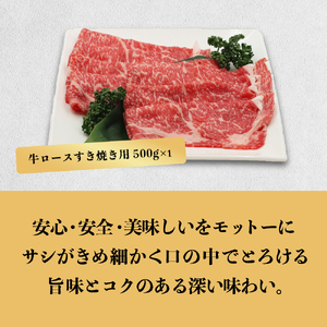 あつみ牛 スライスすき焼き セット 牛ロース スライス 500g すき焼き用 500g 牛肉 ビーフ しゃぶしゃぶ ロース お取り寄せ 牛 特産 ご当地 グルメ 国産 霜降り ふるさと納税 肉 冷凍 贅沢 和食 洋食 祝 田原市 送料無料 30000 円 三万円 ３万円