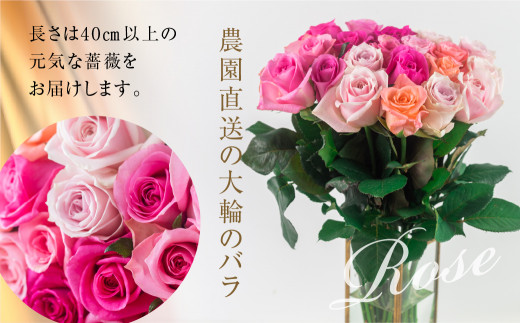 バラ 花束 大輪 ピンク 20本 (40cm) ブーケ ピンクミックス 薔薇 ローズ 生花 プレゼント 花 ギフト  植物 田原市 切り花 切花 12000円