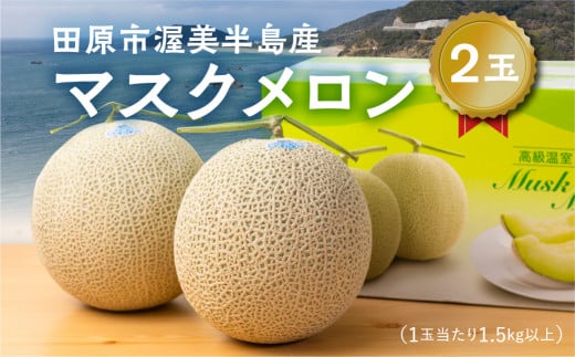 先行予約　渥美半島産 マルカ農園のマスクメロン 2玉 (1玉1.5kg以上) めろん 箱詰め フルーツ 果物 田原市 産地直送 夏 12000円