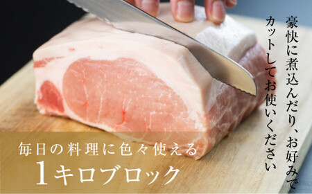 国産 豚肉 ブロック 肩ロース・バラ 食べ比べ 1kg×2 計2kg 田原ポーク