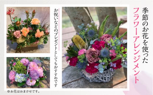 定期便 12回 季節のお花を使った フラワーアレンジメント 花 かご付き 生花 お任せ ギフト プレゼント 飾り 愛知県 田原市 渥美半島 204000円