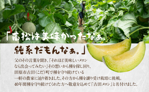 先行予約 渥美半島石井農園・純系 古田メロン1玉 【2026年7月発送】 石井農園 純系 箱詰め メロン フルーツ 果物 お取り寄せ 渥美半島 産地直送 幻 希少品 田原市 送料無料 10,000円