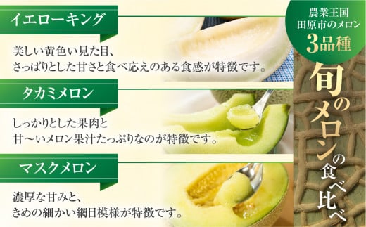 先行予約 2025年発送 渥美半島の恵み メロン 定期便 3回 ( イエローキング / タカミメロン / マスクメロン) 果物 旬 めろん 夏 夏季 食べ比べ 3種 人気 愛知県 田原市 39000円