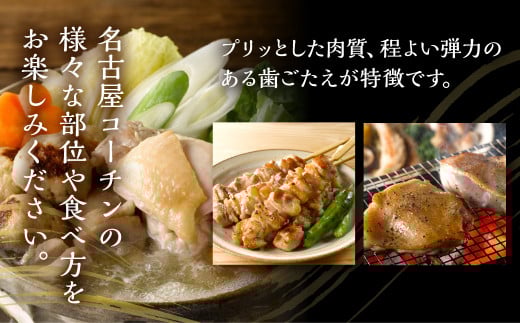 定期便 鶏三和 三和の純鶏 名古屋コーチン 3回お届け 正肉セット 焼鳥セット ハムセット 精肉 焼鳥 燻製ハム 鶏肉 地鶏 鳥肉 さんわ チキン もも肉 むね肉 ささみ ステーキ 肉 渥美半島 田原市 送料無料