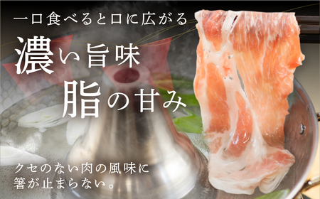 国産 豚肉 食べ比べ 1.3kg しゃぶしゃぶ用 ロース バラ 冷蔵 瓜生豚 小分け 贈答用 化粧箱 ぶた スライス 薄切り 豚しゃぶ 贈り物 ギフト 箱入り お取り寄せ お取り寄せグルメ 食品 送料無料 産地直送 冷蔵 瓜生