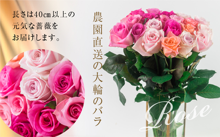 バラ 花束 大輪 ピンク 50本 (40cm) ピンクミックス ブーケ 薔薇 ローズ 生花 観賞用 プレゼント 花 ギフト 誕生日 植物 フラワー 土壌栽培 産地直送 田原市 人気 切り花 切花 28000円