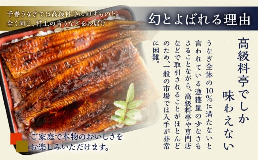 厳選 高級 青うなぎ 蒲焼 15尾 2250g 訳あり 大容量