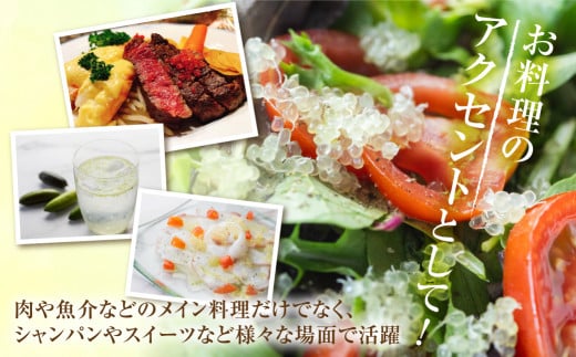 先行予約 フィンガーライムアソート 果実 200g 詰め合せ 品種お任せ フィンガーライム FINGER LIME JAPAN公認 キャビアライム フルーツキャビア 森のキャビア 柑橘 愛知県 田原市 渥美半島 国産 25000円