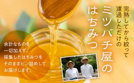 国産 純粋 無添加 完熟 はちみつ 蜂蜜 600g 2種セット 鈴木養蜂園