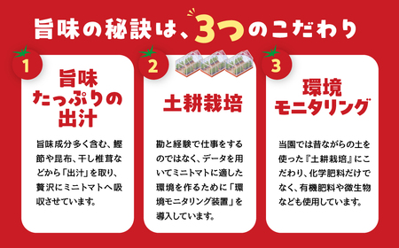 グランプリ受賞 完熟 出汁推し実 ミニトマト2kg