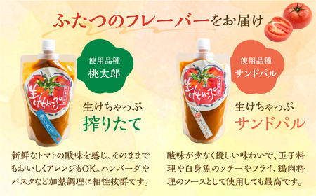 生けちゃっぷ 2種 3本セット ケチャップ 調味料 とまと トマト 素材 こだわり 12000円
