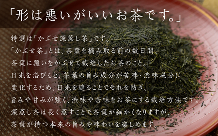 【ギフト箱入】磯田園製茶 深蒸し茶　岡女男面茶「特選」 100g × 2袋 贈答 ギフト 日本茶 美味しい 煎茶 茶葉 国産 お茶の葉 茶 お茶っ葉 お茶っぱ