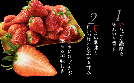 【先行予約】 濃厚 大粒 いちご 紅ほっぺ プレミアム  8粒 2シート 2月中お届け お陽様農園 産地直送 愛知県 田原市産