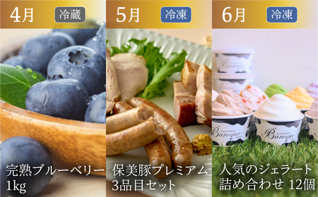 渥美半島の恵み どうまい 定期便 プレミアム 全12回 （ うなぎ いちご 地鶏 名古屋コーチン メロン マスクメロン ブランド豚 田原ポーク ハム ソーセージ ブルーベリー ジェラート とうもろこし サーモン 海鮮 和牛 牛肉 青うなぎ ) ご当地 人気 頒布会 定期便 12回定期便