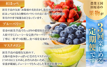 渥美半島の恵み フルーツ 定期便 3回お届け ( いちご / ブルーベリー / メロン )