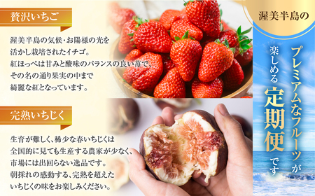 フルーツプレミアム定期便