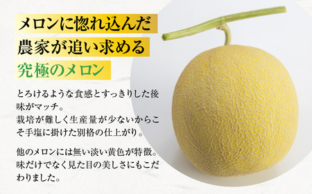 2026年先行予約極上メロン 渥美の陽光-HIKARI- メロン めろん フルーツ 旬 果物 渥美半島 田原市 愛知県