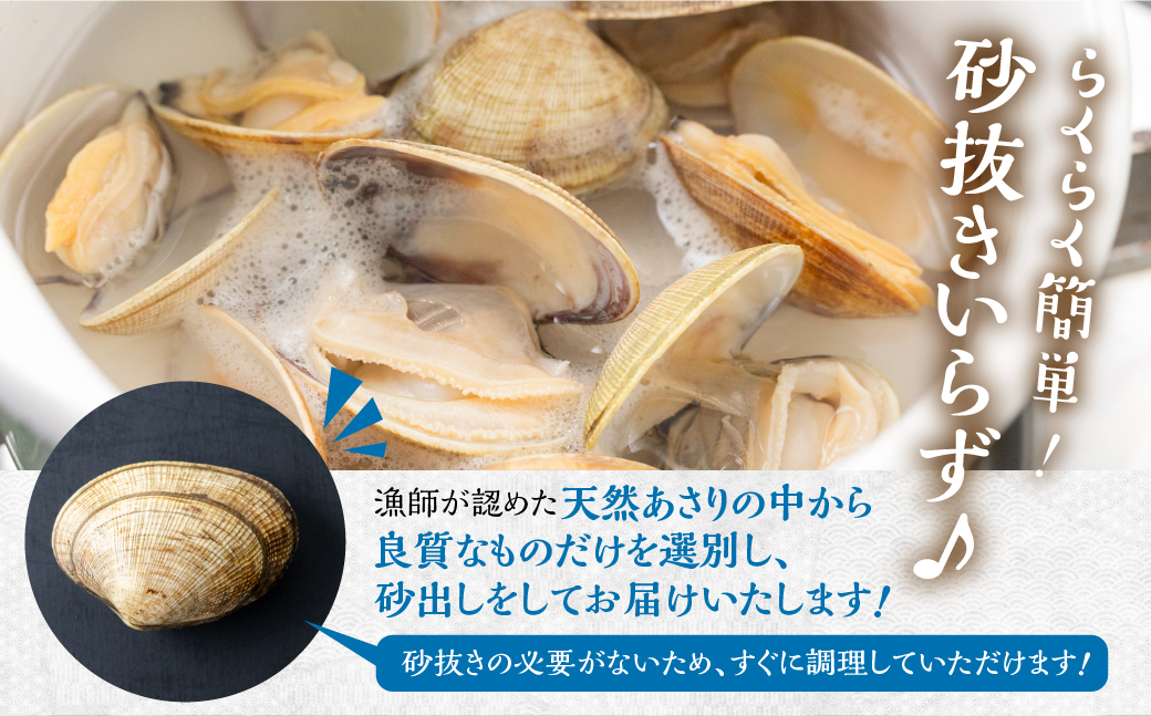 渥美産 天然旨あさり 特大 1kg あさり